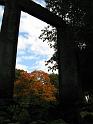 05102008 152634IMG1856